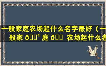 一般家庭农场起什么名字最好（一般家 🌹 庭 🐠 农场起什么名字最好呢）